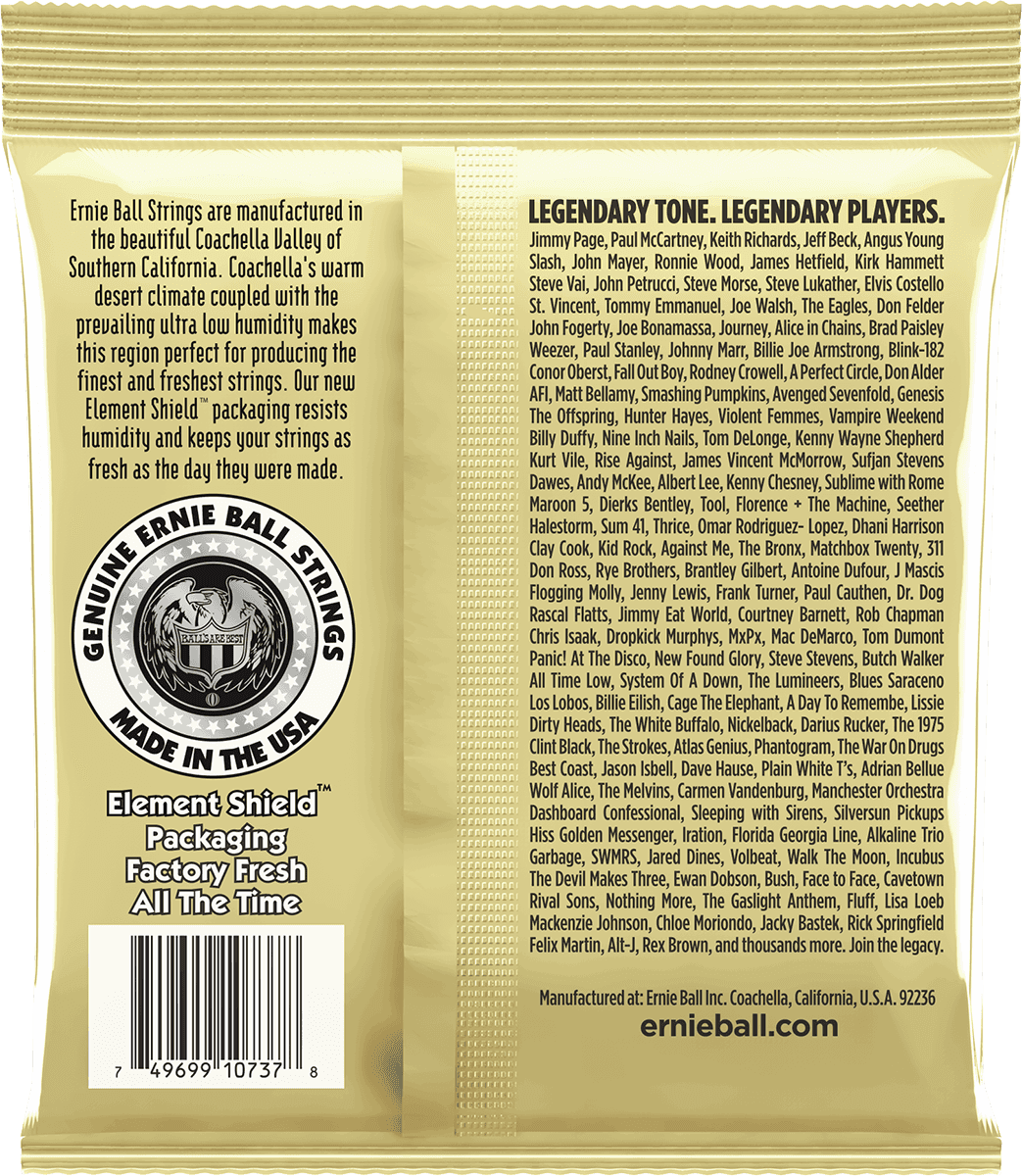 Ernie Ball 2013 Earthwood Custom Light 12-String snaren