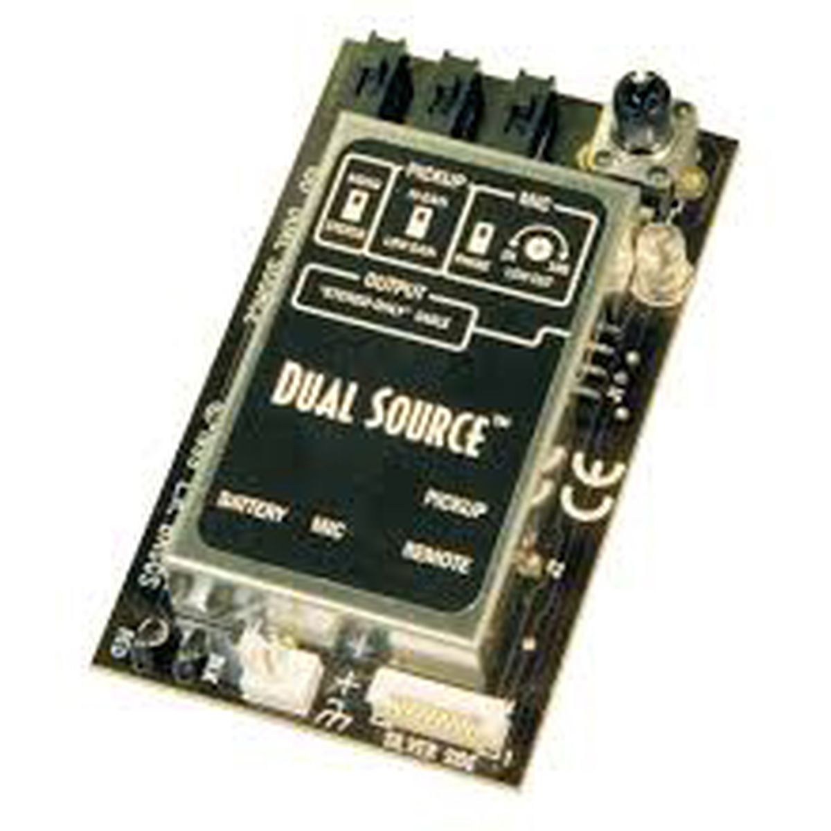 LR Baggs Dual Source Element