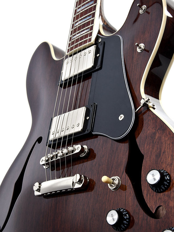Sigma HBW-102H-DS Semi-Hollowbody Elektrische gitaar