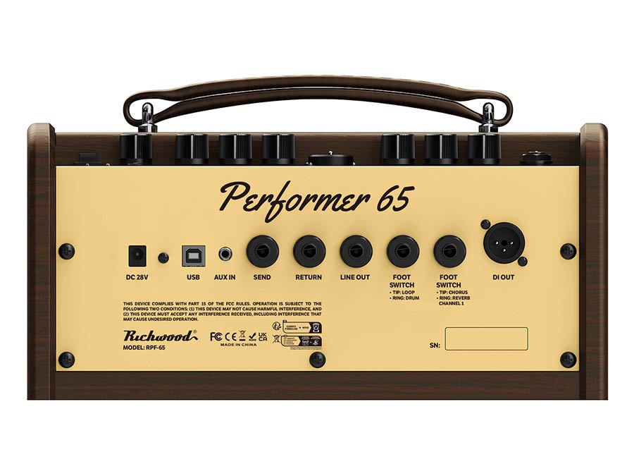 Richwood RPF-65 Performer 65 - Akoestische gitaarversterker