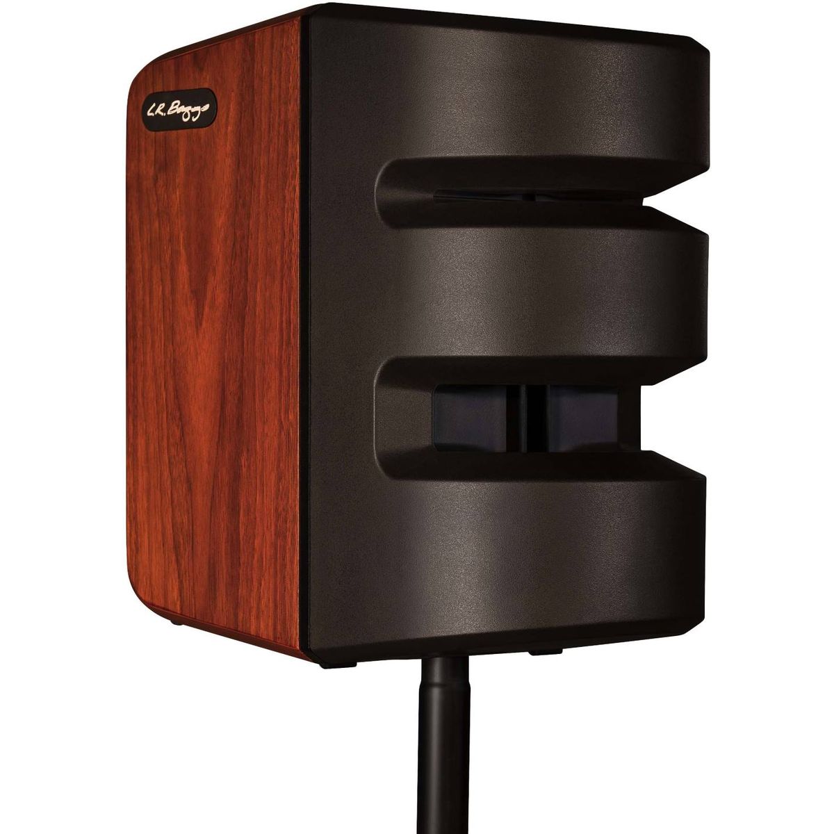 LR Baggs Synapse