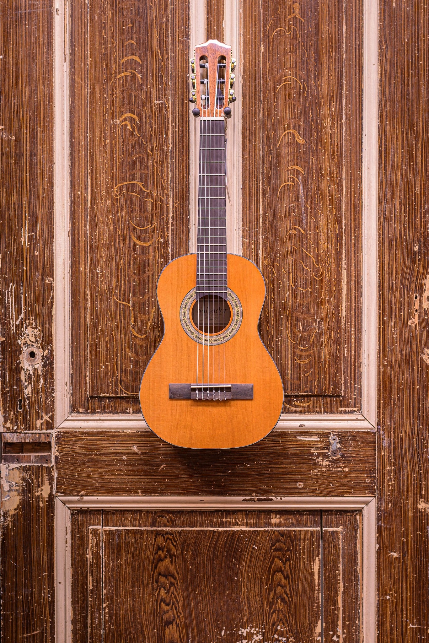 Salvador Nova C/BB 1/2 Student Series classic guitar cedar + sapele