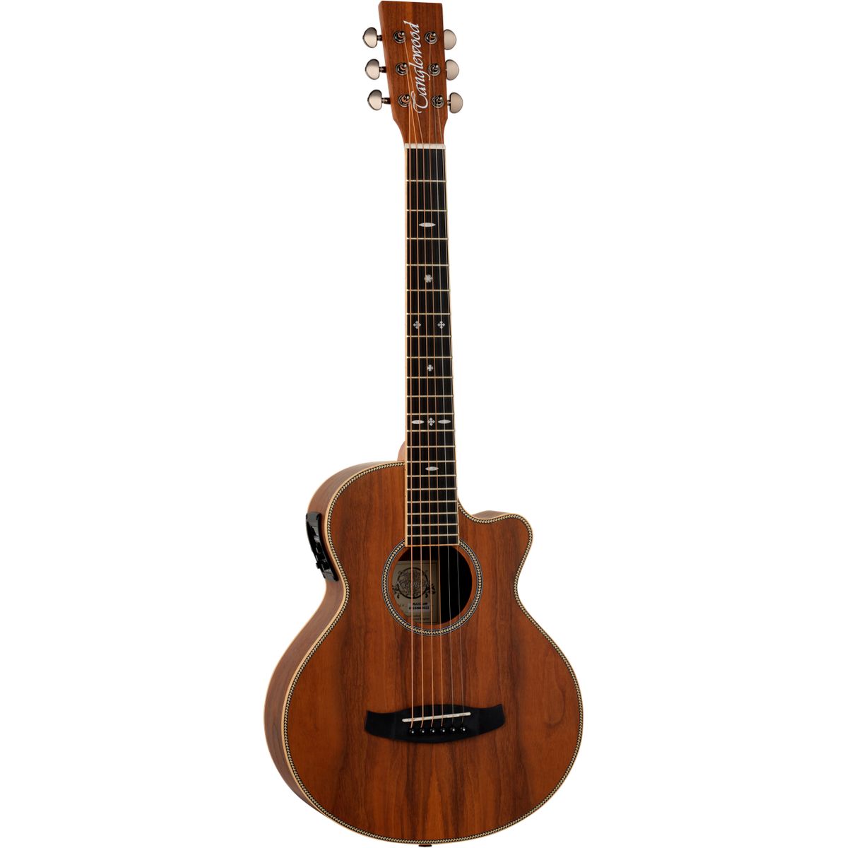 Tanglewood Reunion Pro 2 Ce AW Walnut